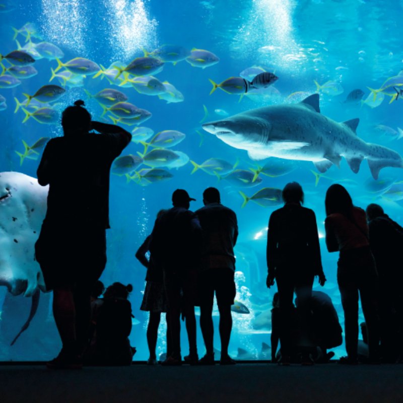 Poema del Mar Aquarium Gran Canaria